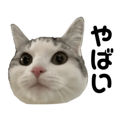 ua_@