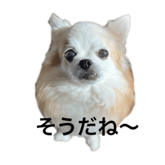 tomochan_20250310171300