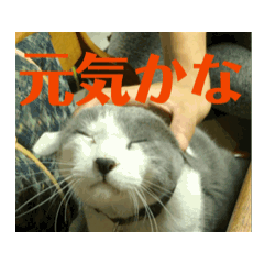 mayu_20250310220942