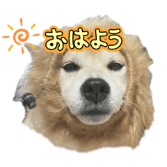 sachi_20250310142702