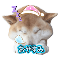 sachi_20250310210642