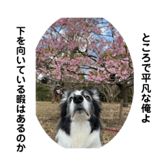 SHUN_20250310211416