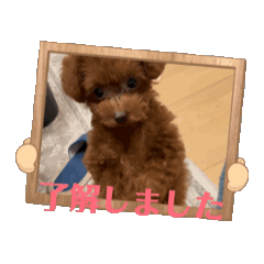 mayu_20250311091752