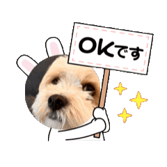 Riku_20250310201214