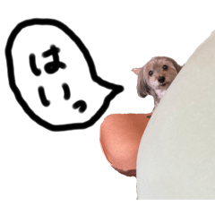 poco_7821