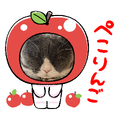 suzu_20250310235655