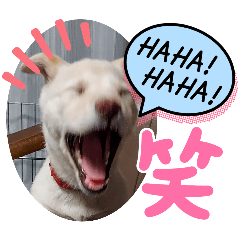 ミィとソラ。Part２