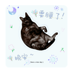 黑黑Kuro的日常