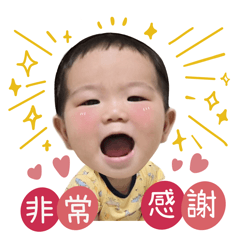 哲小弟在幹嘛