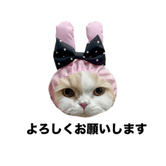 ami_20250311003000