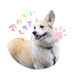 Miki_20250311012243