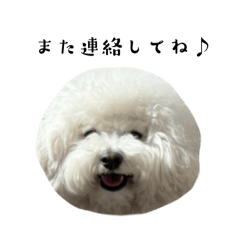 mon_20250310224921