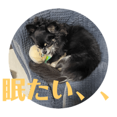 runa_20250311090917