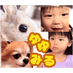 Yuzuki_20250310154635