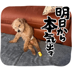 ken_20250311093707