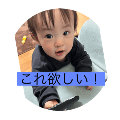 kaito_20250311103041