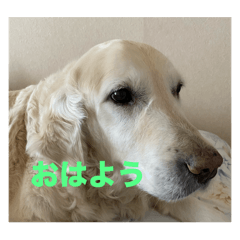 Yoko_20250311105424