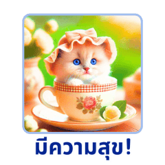 Tiny Ragdoll Wonders 1:Thai