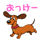 Animalcreation_20250310204411