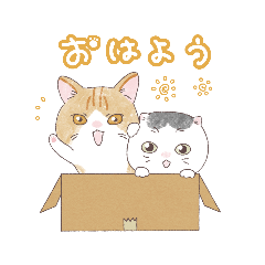 yuki_20250310204704