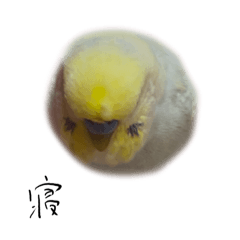 me_20250311114248