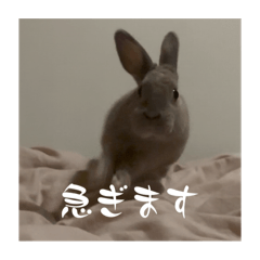 r_20250311115017