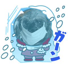AYA_20250310220440