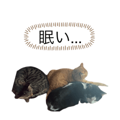 Joji_20250310200009