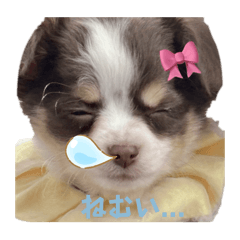 kono_20250310232619