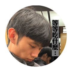 貢丸A表情包