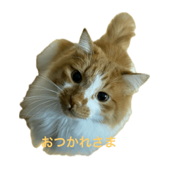 masa_20250310223439