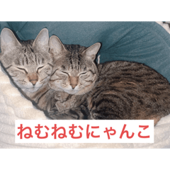 yuri_20250311034039