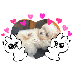 咪咪醬^_^