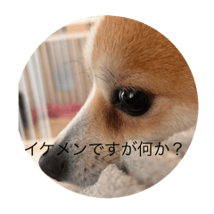 gg_20250311132048