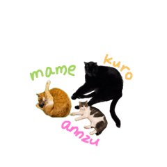 kuromameannko-nana