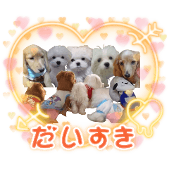 Hiroko_20250311182454
