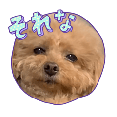 MIKI_20250311142207