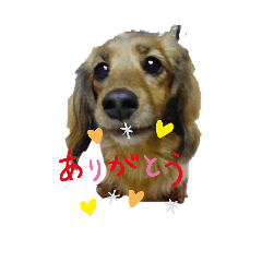mimi_20250311142912
