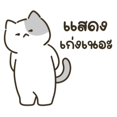 Cute Cat "Maru" - Funny words