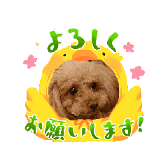 Merry_20250311142132