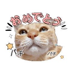 BB_20250311213517
