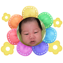淳瑩表情包