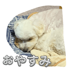 NAO_20250311231053