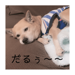 rinachi_20250311230944