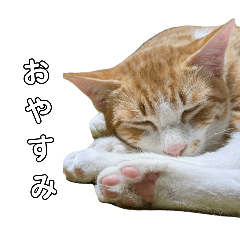 akitomo_20250311194721