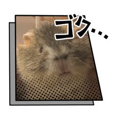 kazumi_20250311200630