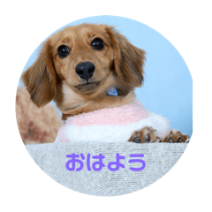 Hana_20250311221034