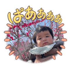 chan_20250311221516
