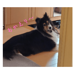 aru_20250312005252
