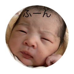 Saiko_20250312013658